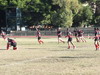 thumb_DSCF2835.JPG